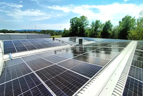 Energia rinnovabile per GSI con l'impianto fotovoltaico della sede centrale